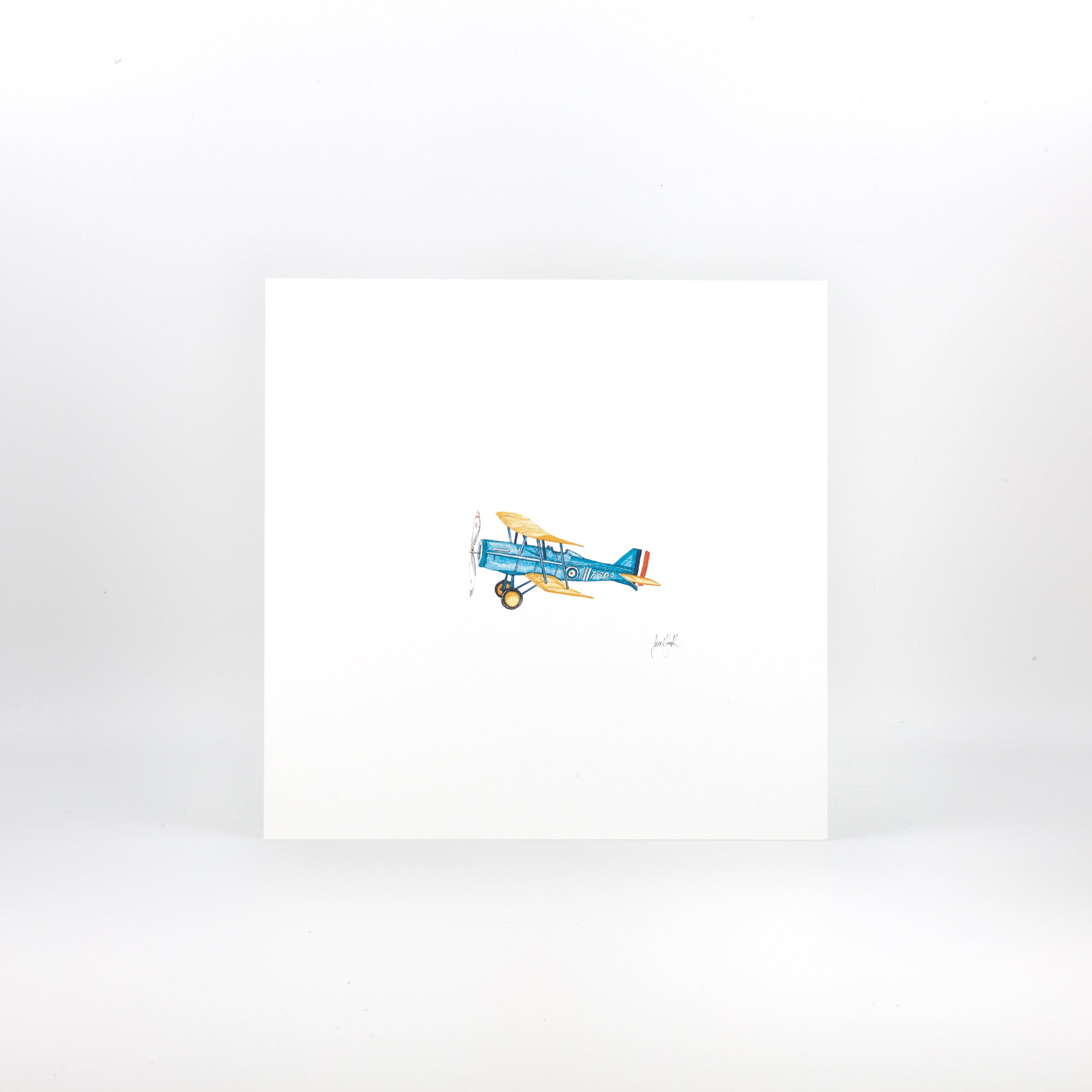 Sarah Smith Aeroplane Print