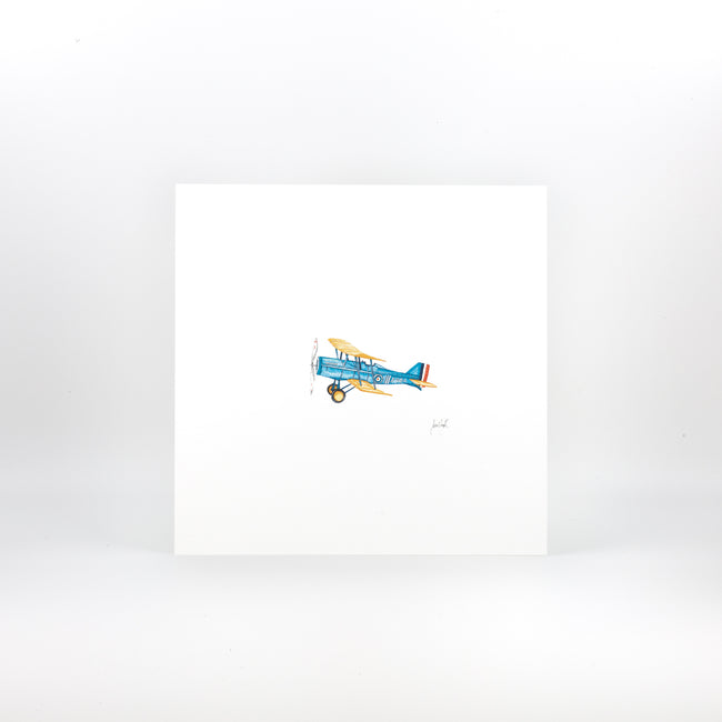 Sarah Smith Aeroplane Print