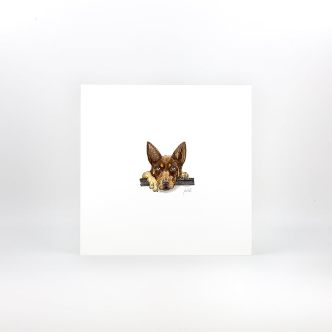 Sarah Smith Brown Kelpie Print