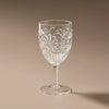 Flemington Acrylic Wine Glass | Clear