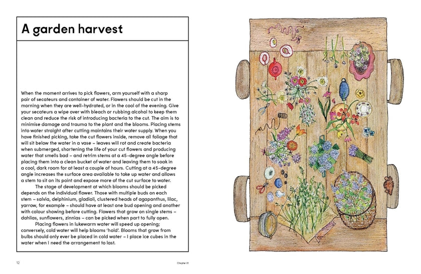 Picking Garden By Jo Turner