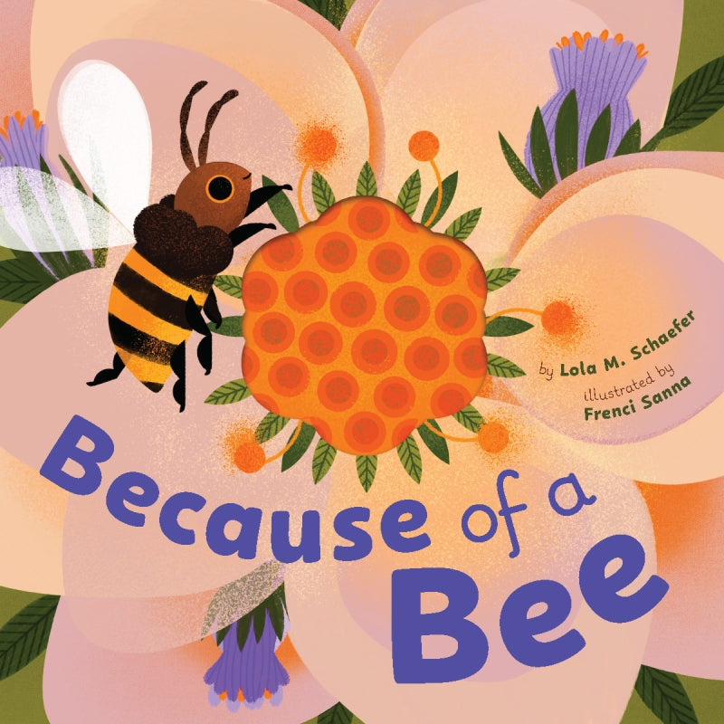 Because of a Bee By Lola M Schaefer