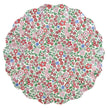 Meri Meri x Liberty Red & Green Reusable Plates | Large (Pack of 6)
