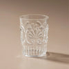 Flemington Acrylic Tumbler | Clear