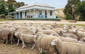 The Verandah An Australian Way of Living By Simon Griffiths