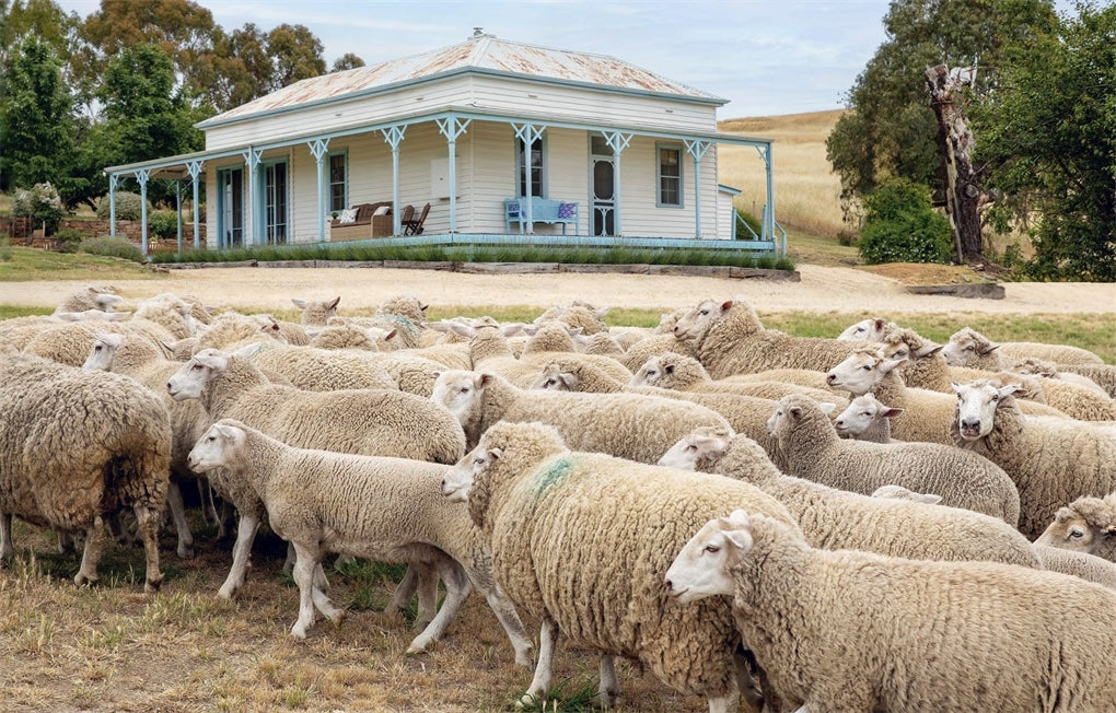 The Verandah An Australian Way of Living By Simon Griffiths