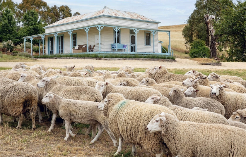 The Verandah An Australian Way of Living By Simon Griffiths