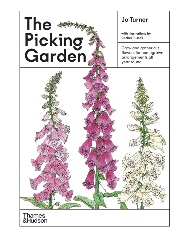 Picking Garden By Jo Turner