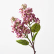 Lilac Spray
