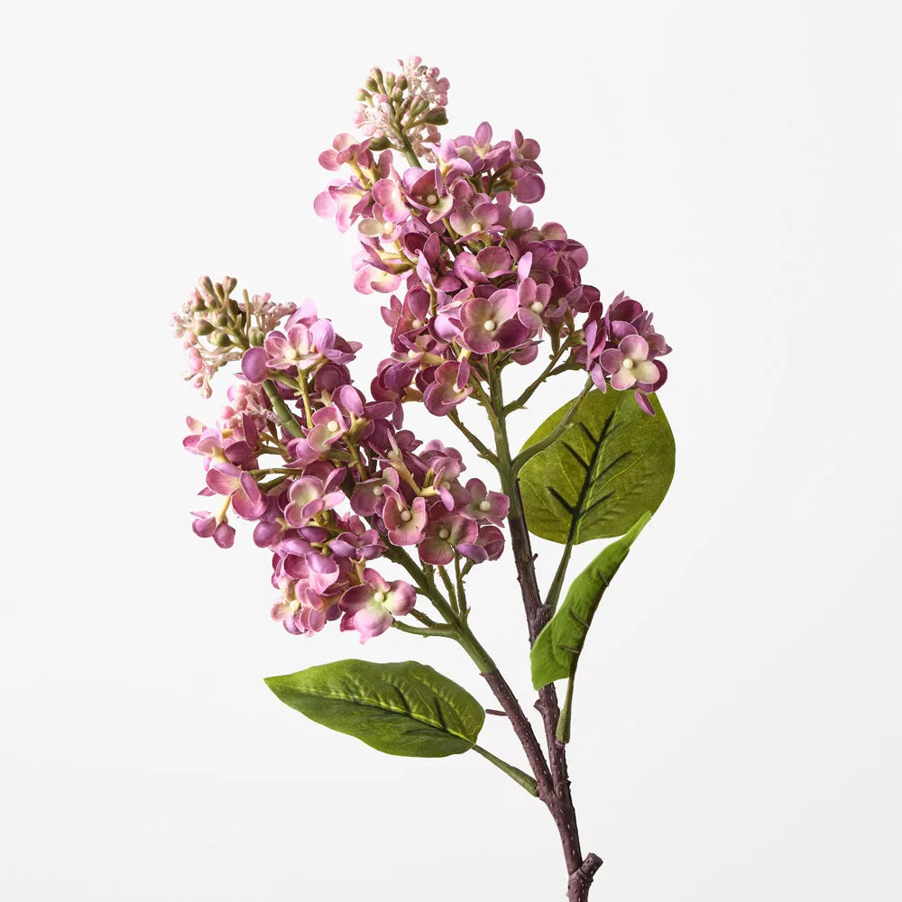 Lilac Spray
