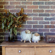 Woolly and Wood Sheep
